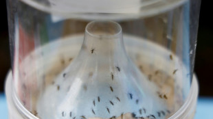 Nombre record de cas de maladies transmises par des moustiques en Europe, selon une agence de santé