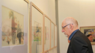 Hanoi celebra l'Anno del Cavallo con una rassegna al Museo di Belle Arti