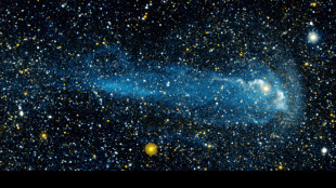 Scoperta una piccola stella attorno alla gigantesca Betelgeuse