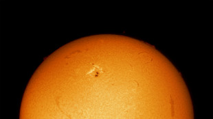 Sole pi&ugrave; attivo che mai, decine di brillamenti in pochi giorni