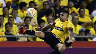 Ecuadorean footballer Mario Pineida shot and killed