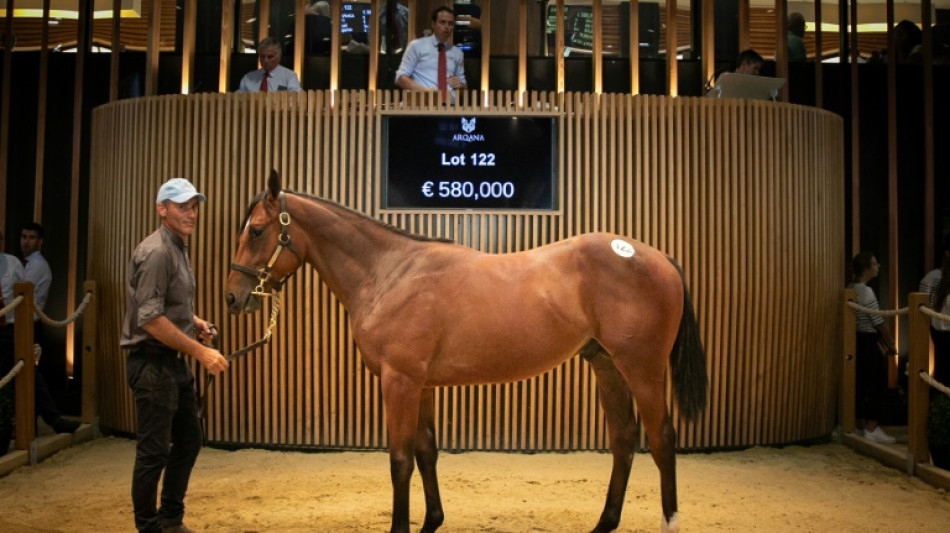 Ventes de yearlings records &agrave; Deauville &agrave; plus de 51 millions d'euros