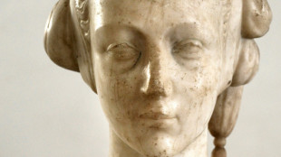 Bust attributed to Donatello splits Slovakia