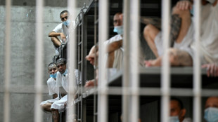 Bukele critica grupos de DH por não elogiarem redução de homicídios em El Salvador