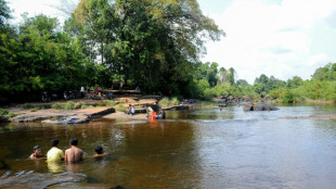 Carbon credit scheme sees Indigenous Cambodians harassed, evicted: report