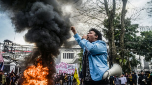 Indonesia leader in damage control, installs loyalists after protests