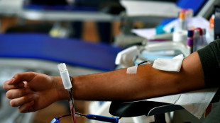 Don du sang: le Canada l&egrave;ve la p&eacute;riode d'abstinence pour les homosexuels