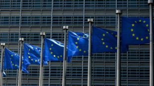 Acuerdo "hist&oacute;rico" en la UE para poner fin a venta de motores de combusti&oacute;n en 2035