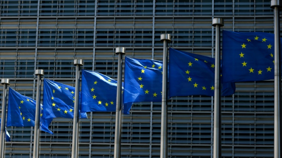 L'UE ouvre la voie &agrave; des "hubs de retours" pour migrants
