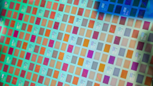 US stocks end at records as government shutdown drags on 