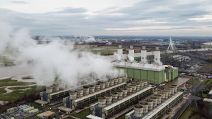 Arera, nel 2025 in Italia rinnovabili in calo, aumenta termoelettrico