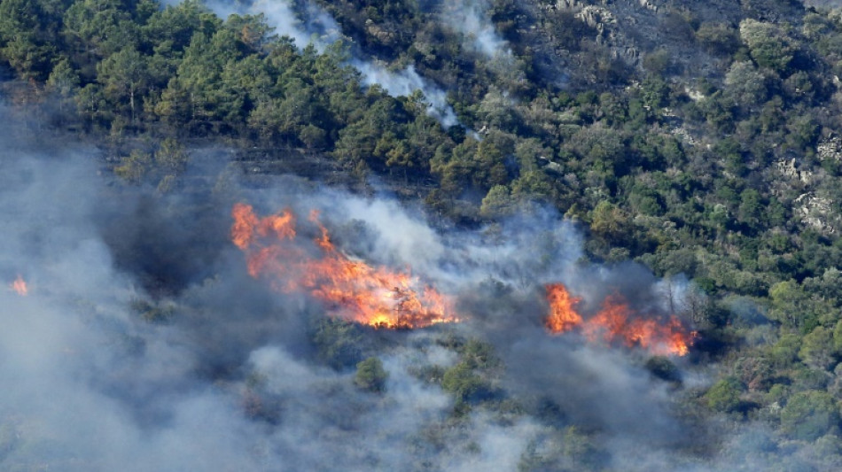 Espagne: l'incendie &agrave; la fronti&egrave;re avec la France en passe d'&ecirc;tre stabilis&eacute;