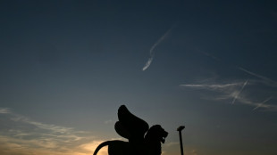 La mexicana Mayra Hermosillo retrata el matriarcado en el que creció con "Vainilla"