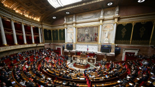 Budget: l'Assembl&eacute;e adopte des rallonges anti-inflation, sans 49.3