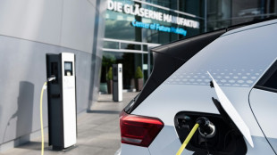 Staatliches F&ouml;rderprogramm f&uuml;r E-Auto-Kauf startet 