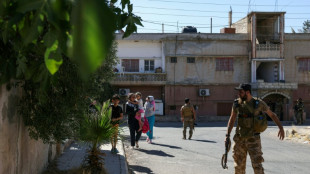 Sube a 248 el balance de muertos en los enfrentamientos en el sur de Siria, seg&uacute;n una ONG