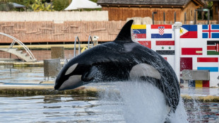 Francia estudia trasladar a Espa&ntilde;a a dos orcas de un parque acu&aacute;tico
