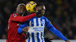 Brighton e Wolves ficam no 0 a 0 pela 21&ordf; rodada do Ingl&ecirc;s
