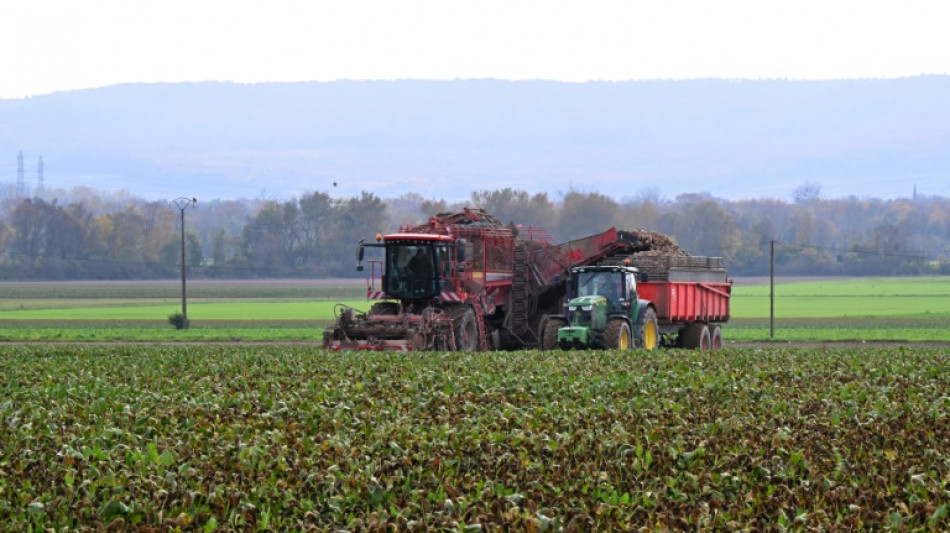 EU ready to tax Russian fertilisers as early as July
