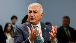 Le fils du chah d&eacute;chu appelle Trump &agrave; "aider" le peuple iranien pour "enterrer" la R&eacute;publique islamique