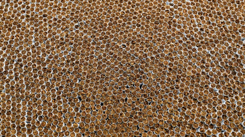 Fast 21 Millionen Zigaretten bei Razzia in Nordrhein-Westfalen beschlagnahmt