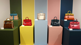 Herm&egrave;s &eacute; processada por dificultar compra de bolsa