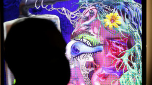 El arte digital llega a Dub&aacute;i, que quiere convertirse en un centro internacional de criptomonedas