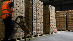 La investigaci&oacute;n de Sky ECC revela los m&eacute;todos despiadados de los narcotraficantes en Europa