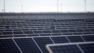 M&eacute;xico espera que Tesla anuncie pronto decisi&oacute;n de invertir en el pa&iacute;s, dice canciller 