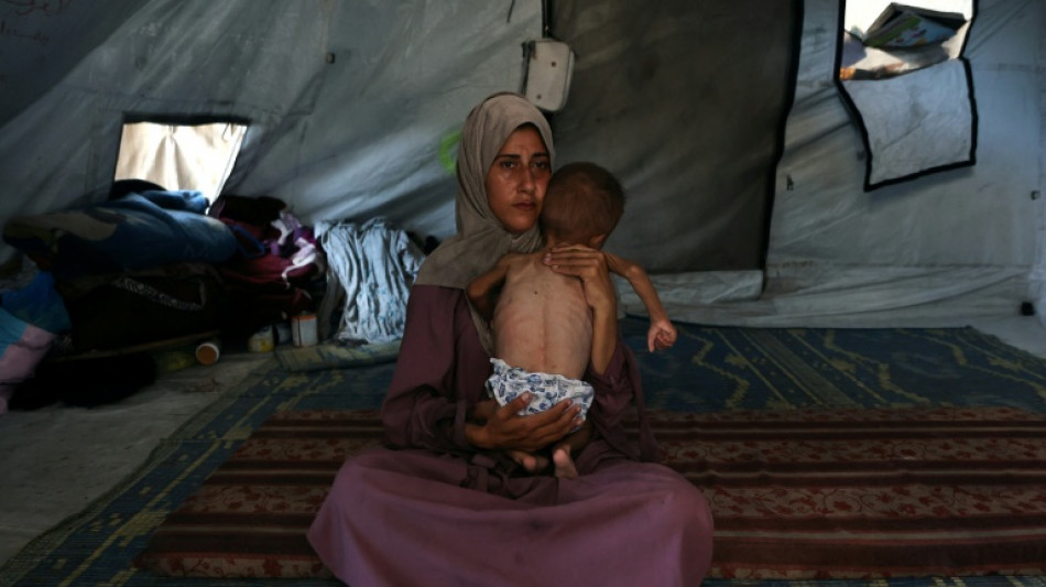 Israel declares Gaza fighting pause amid deepening hunger crisis