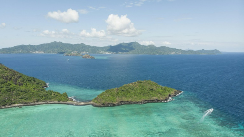 Près de la moitié des coraux du lagon de Mayotte détruits par le cyclone Chido, selon une étude