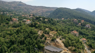 Les Libanais optent pour l'&eacute;nergie solaire, une "n&eacute;cessit&eacute;" avec la crise 
