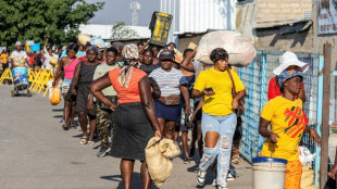 Hait&iacute; bloquea importaciones que llegan por Dominicana