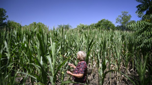 Leaking pipes as climate warms: Bulgaria faces water crisis