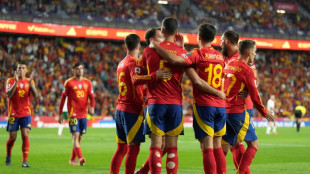 Spain players on their way to becoming 'legendary': coach De la Fuente