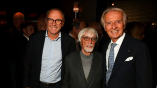 Luca, una vita rosso Ferrari: un film racconta Montezemolo