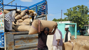 La ONU advierte que carece de miles de millones de dólares para combatir el hambre mundial