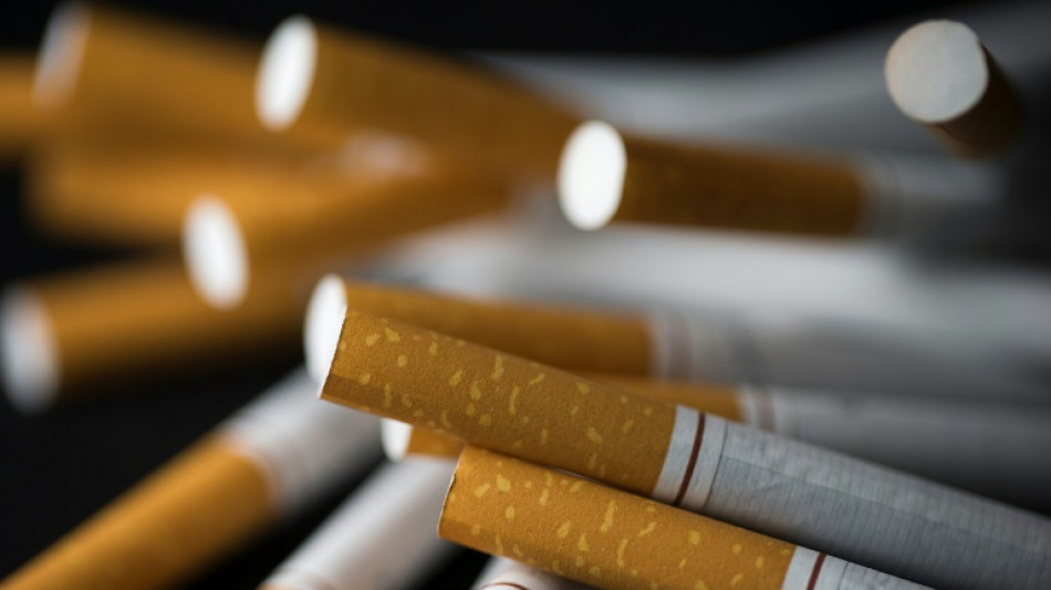 Zollfahnder finden mehr als eine Million illegale Zigaretten in Garage