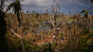 Le cyclone Chido, d&eacute;sastre environnemental &agrave; Mayotte