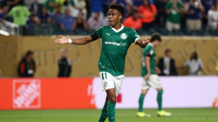 Brazil starlet Estevao 'ready' for Chelsea move: Palmeiras coach