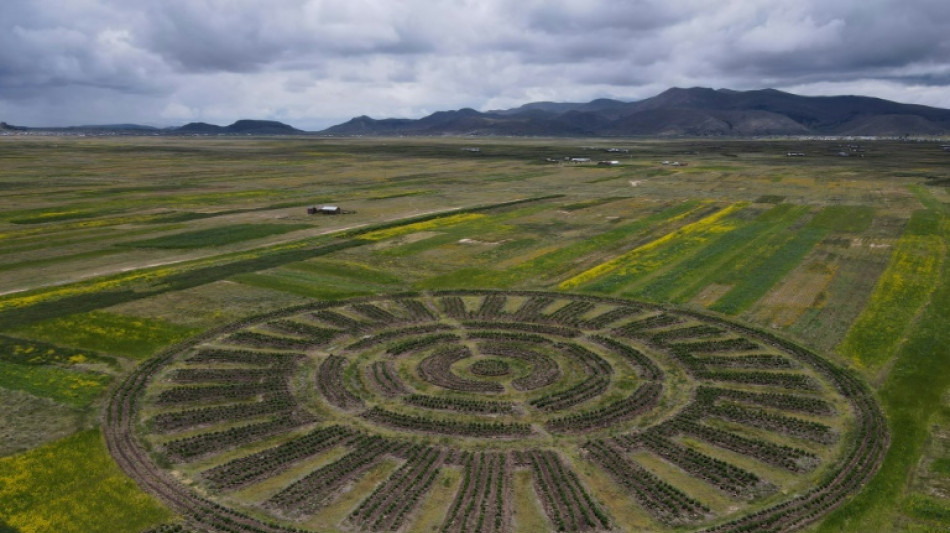 Andean farmers use age-old technique amid climate change