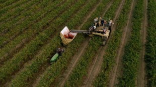 El sector privado creó más empleos de lo esperado en octubre en EEUU