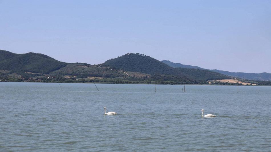 Troppi moscerini acquatici e Bobby Solo non canta a Castiglione del Lago