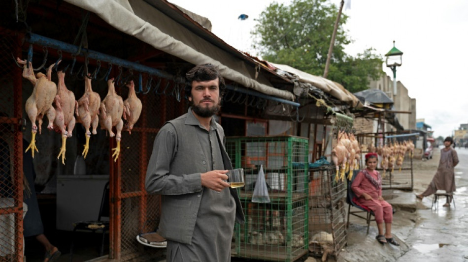 Afghanistan: &agrave; l'ombre de l'ancienne base  am&eacute;ricaine, l'&eacute;conomie de Bagram se meurt
