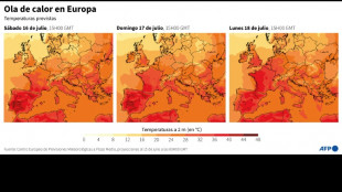 Decenas de incendios en Espa&ntilde;a, donde el fuego corta una autopista con Portugal