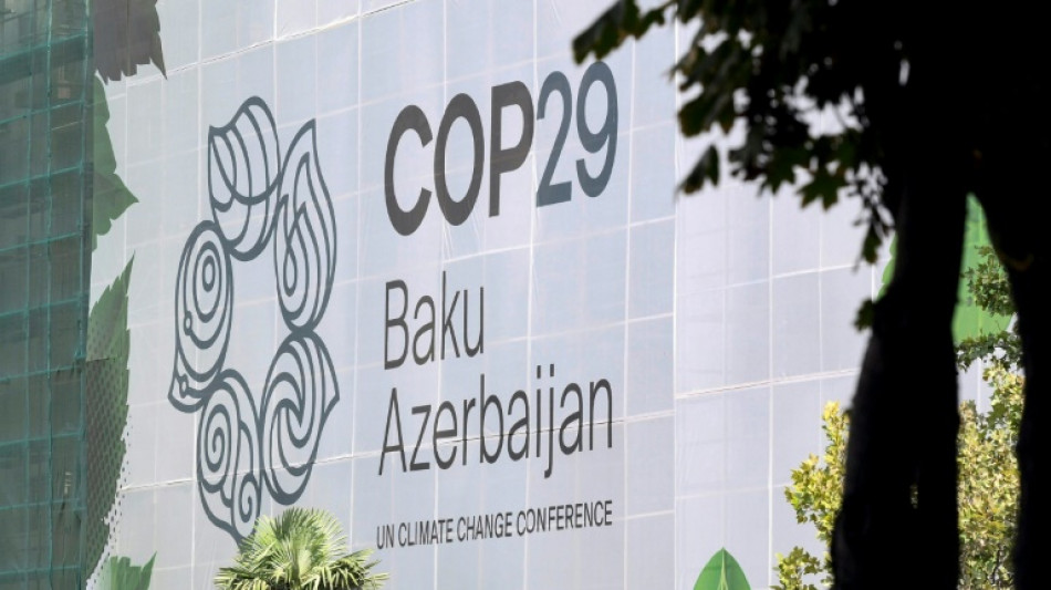 Los ejecutivos petroleros se dan cita en la COP29, atestada de lobistas seg&uacute;n las oeneg&eacute;s