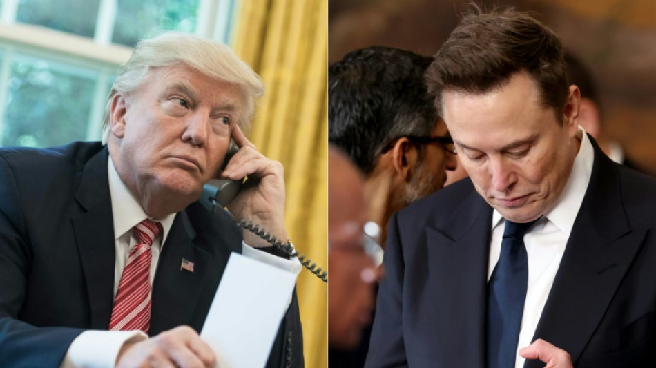 "Preparen las palomitas" para el pr&oacute;ximo cap&iacute;tulo de la furia de titanes Trump y Musk