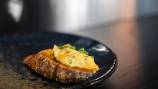 Los "agricultores del futuro" crean en Finlandia una proteína comestible a partir de aire y electricidad