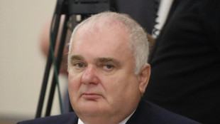 Gazprom-Vertreter Warnig verl&auml;sst Schalker Aufsichtsrat - Verein in Beratungen