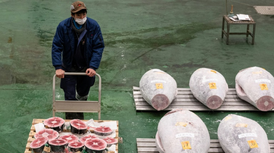 El precio del at&uacute;n alcanza m&aacute;s de 270.000 d&oacute;lares en la subasta de A&ntilde;o Nuevo en Jap&oacute;n